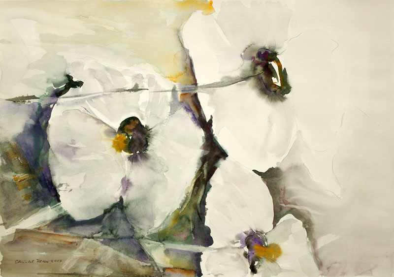 Christel Klaes: Blumenimpressionen, ohne Titel, 2007, 46 x 66 cm, Aquarell und Gouache auf Papier
