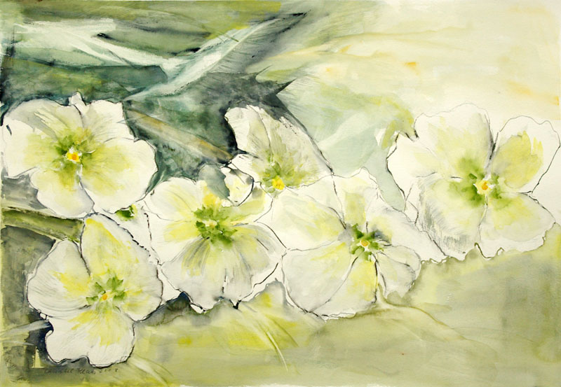 Christel Klaes: Blumenimpressionen, ohne Titel, 2008,  46 x 66 cm,  Aquarell und Gouache auf Papier