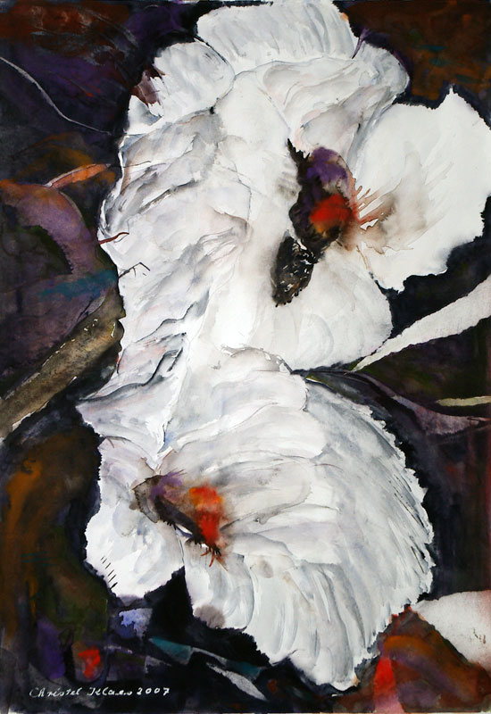 Christel Klaes: Blumenimpressionen, Ohne Titel, 2007, 46 x 66, Aquarell